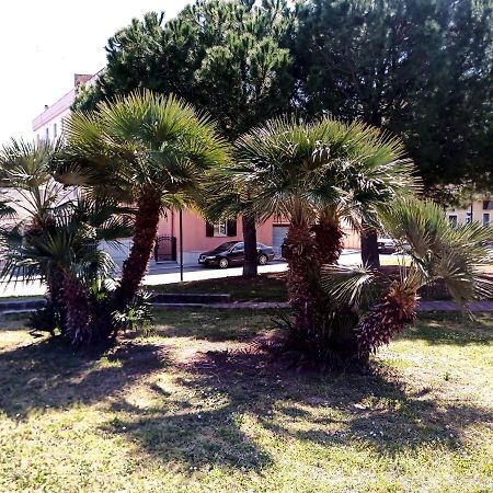 Casa Vacanze Tre Stelle Termoli Dış mekan fotoğraf